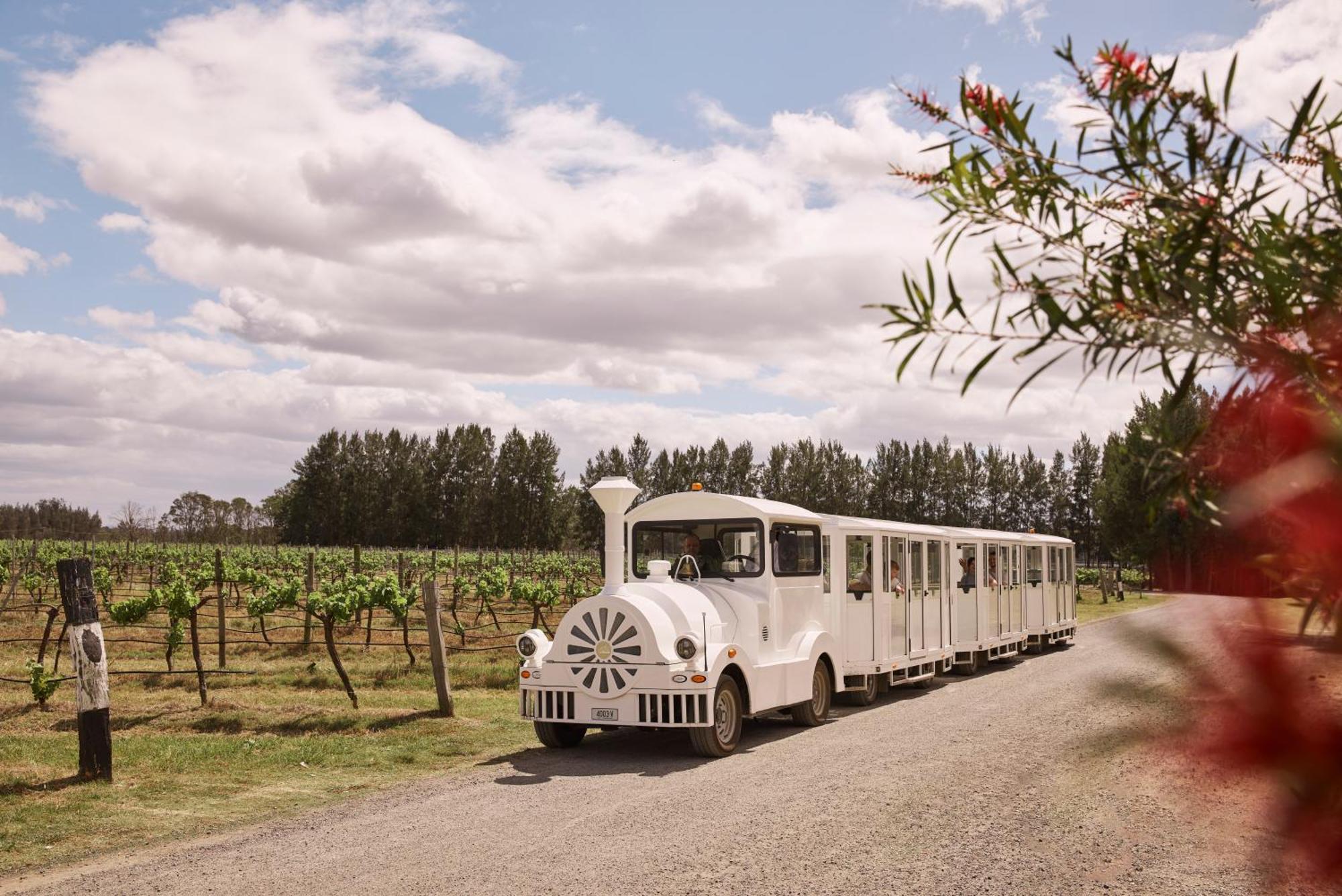 Rydges Resort Hunter Valley Lovedale Exterior foto